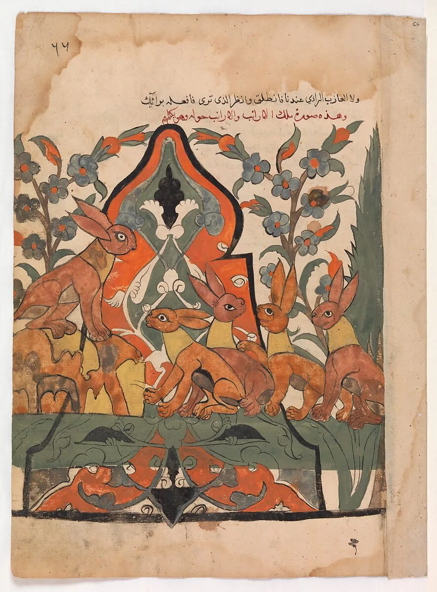 "The King of the Hares in Counsel with his Subjects", Folio from a Kalila wa Dimna — Unknown