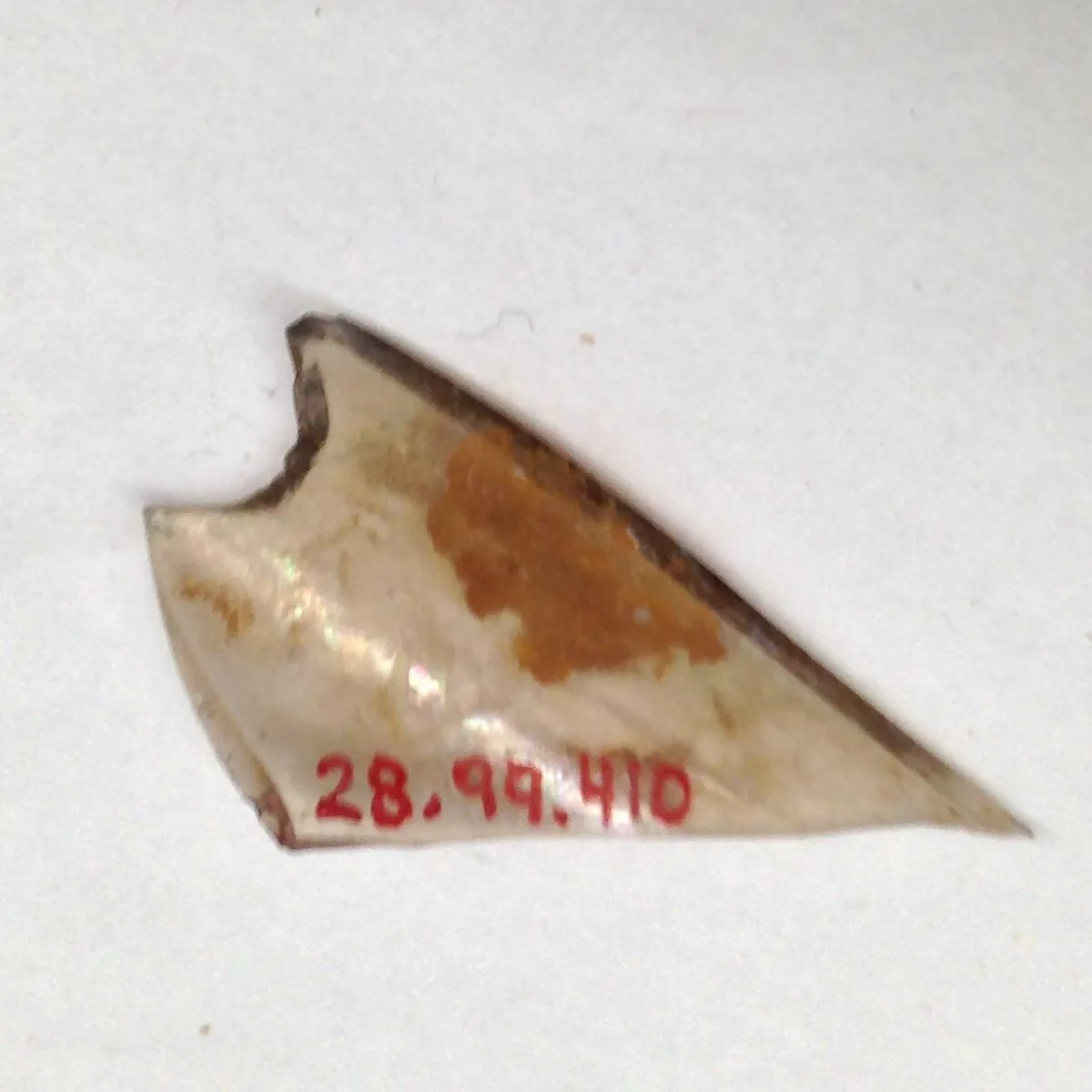 Fragment — Unknown