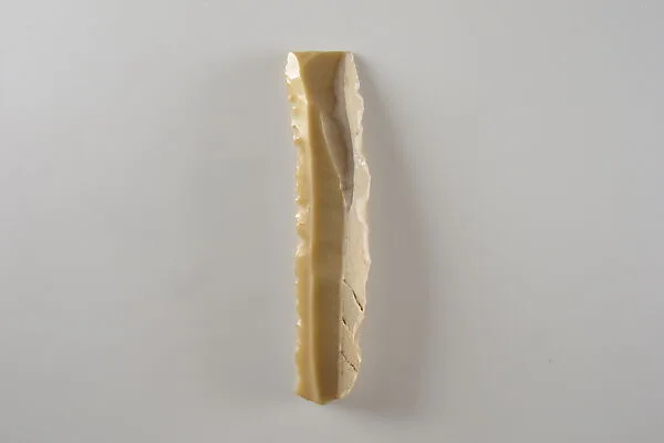 Sickle Insert — Unknown