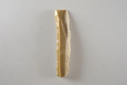 Sickle Insert