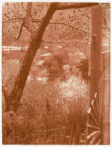 [View from Hillside Through Trees Towards a Valley]