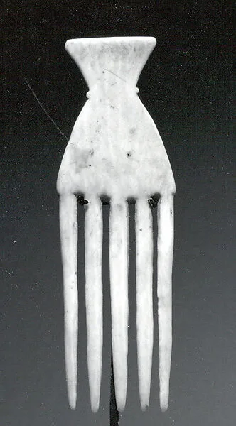 Comb — Unknown