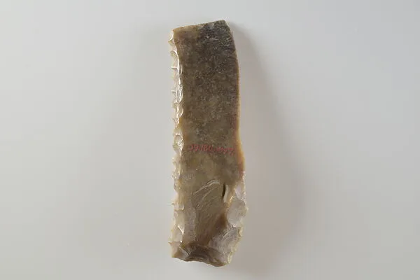 Sickle Insert — Unknown