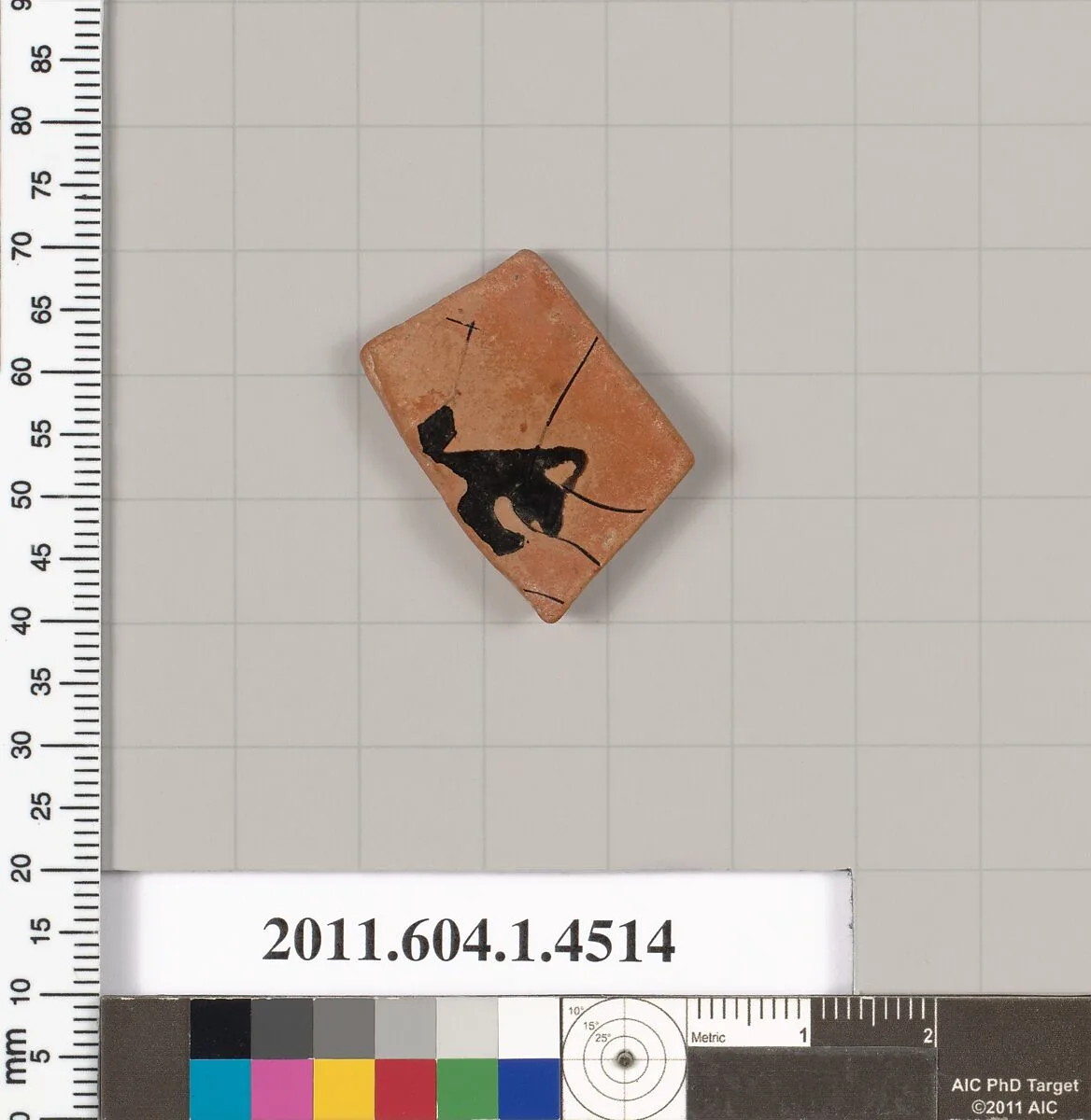 Terracotta fragment of a kylix (drinking cup) — Unknown
