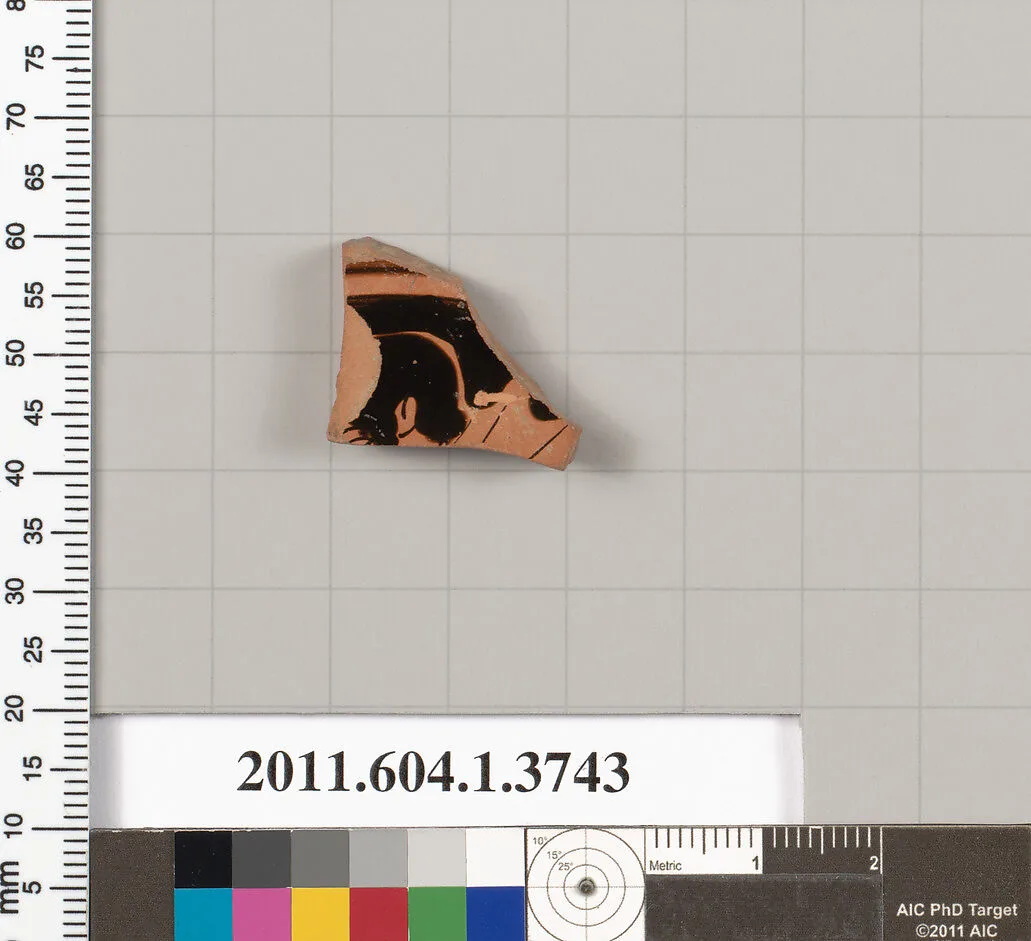 Terracotta fragment of a kylix (drinking cup) — Unknown