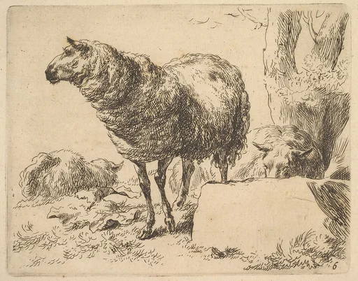 from The Set of Sheep