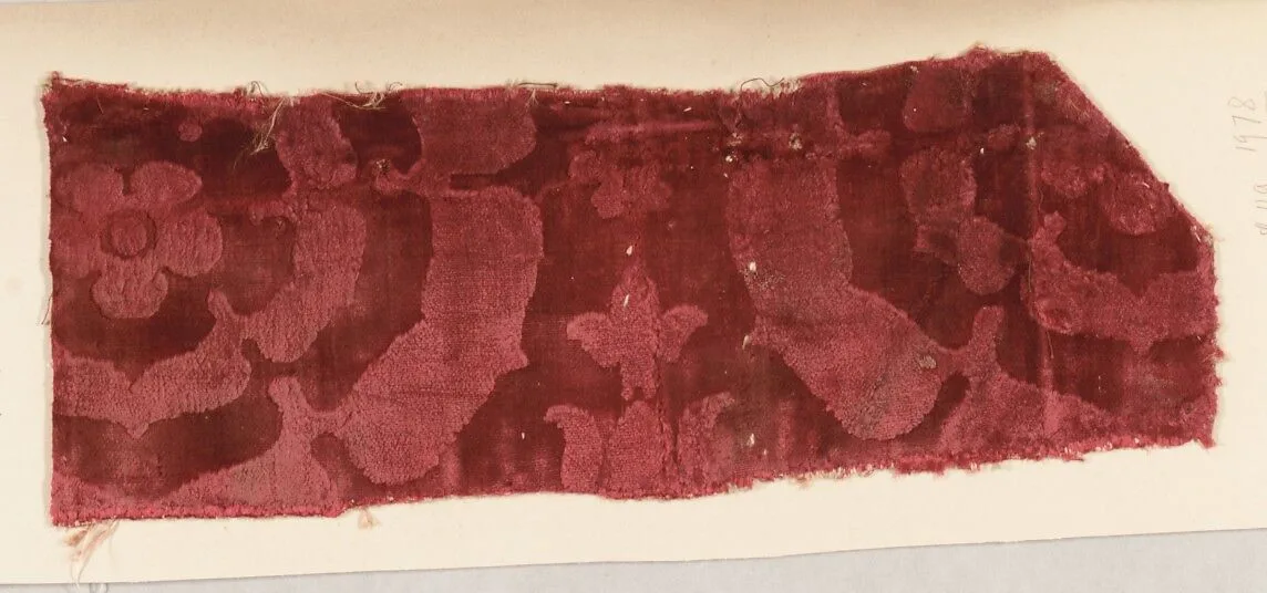Fragment — Unknown