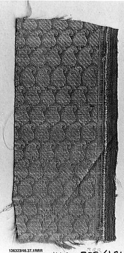Textile Fragment