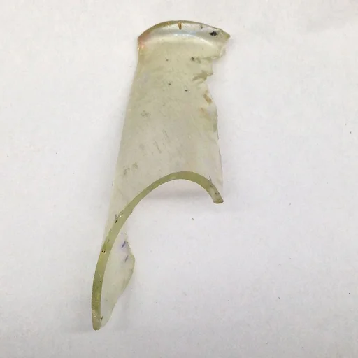 Fragment
