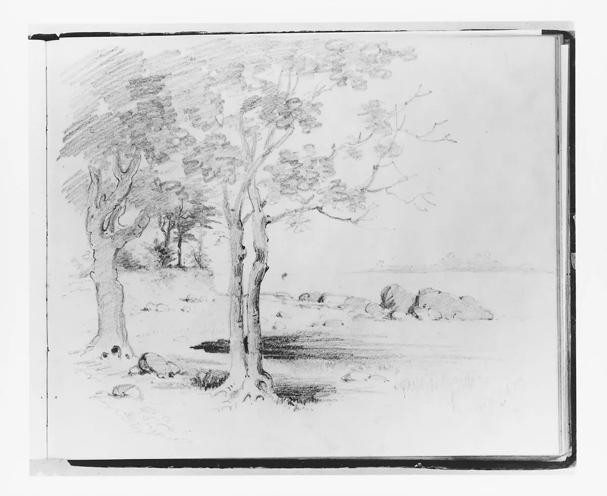 Landscape with Foreground Trees (from Sketchbook) — Francis William Edmonds