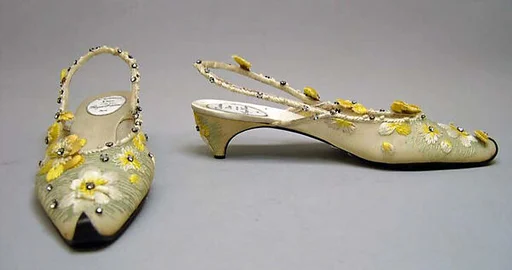 Evening shoes
