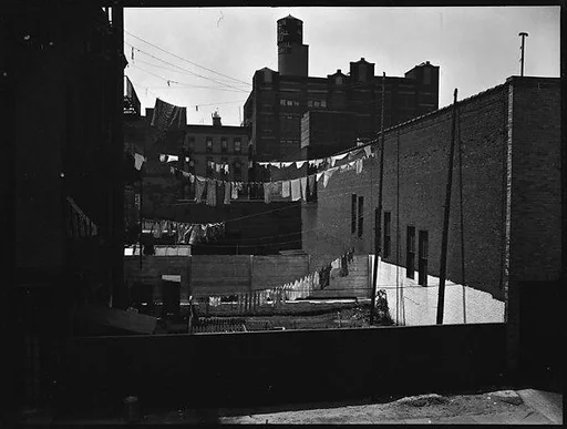[Backyards of Apartment Buildings with Clotheslines, New York City]