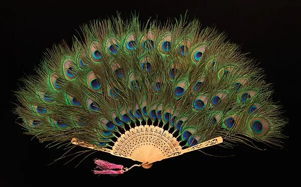 Fan — Unknown
