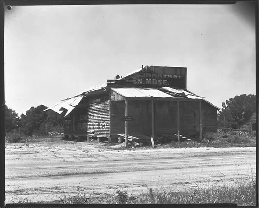 [Dilapidated Roadside General Store, Advance, Alabama]