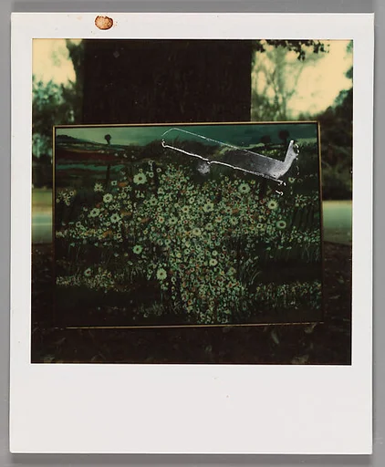 [Painting Under Tree]