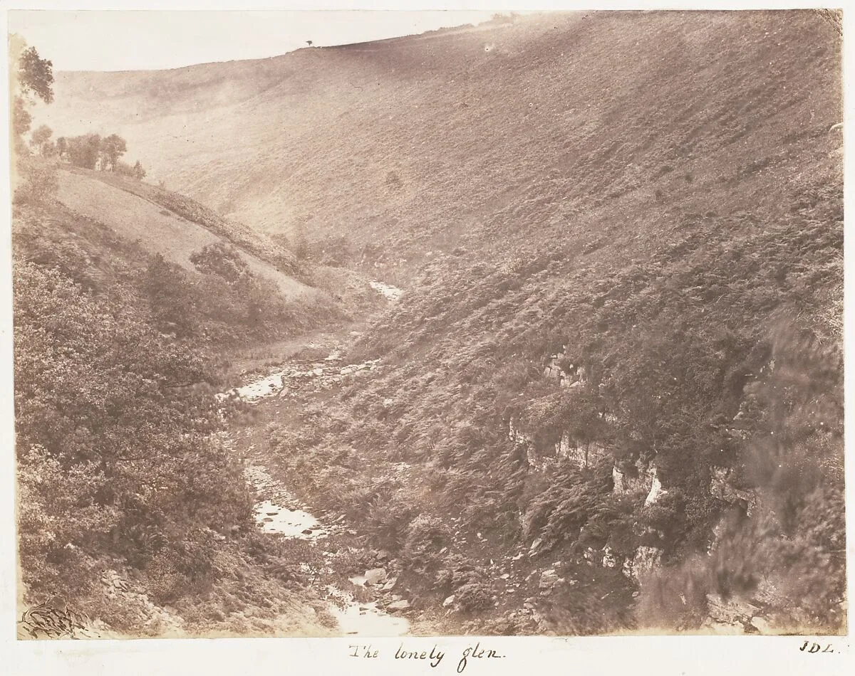The Lonely Glen — John Dillwyn Llewelyn