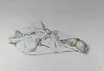 Lemons on Scarves — Jeannette Leroy