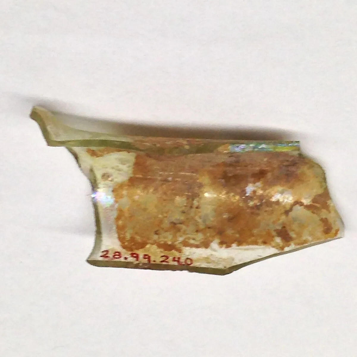 Fragment — Unknown