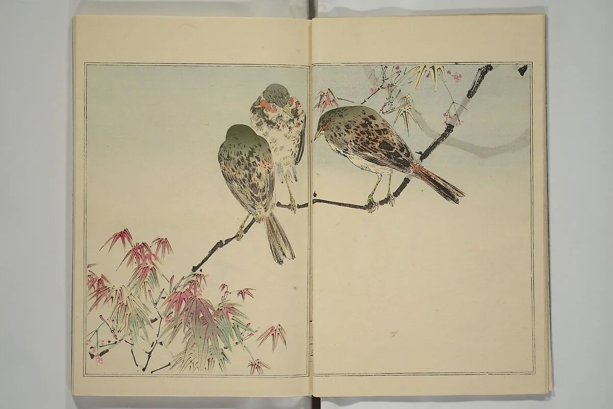華鳥画譜|Picture Album of Birds and Flowers (Kachō gafu) 華鳥画譜 — Watanabe Seitei 渡辺省亭