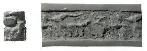 Cylinder seal — Unknown