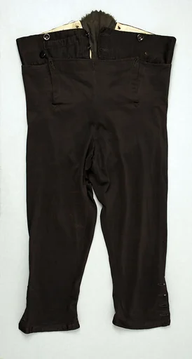 Breeches