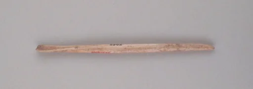 Ear pick