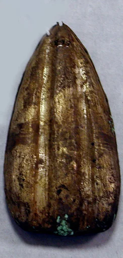 Hammered Silver Petal Ornament