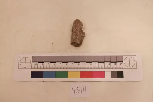 Stucco Fragment