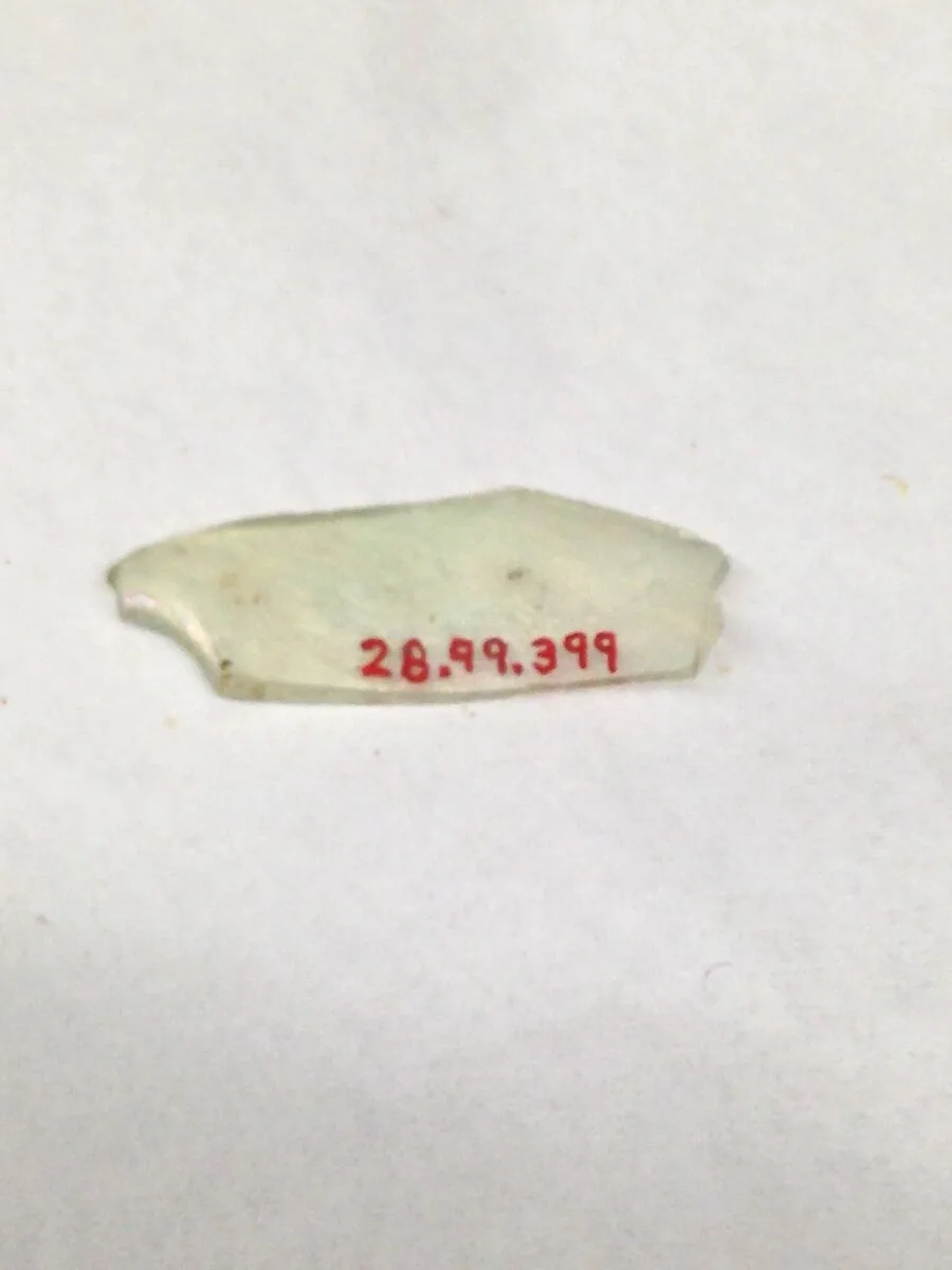 Fragment — Unknown