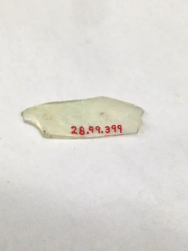 Fragment