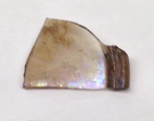 Fragment