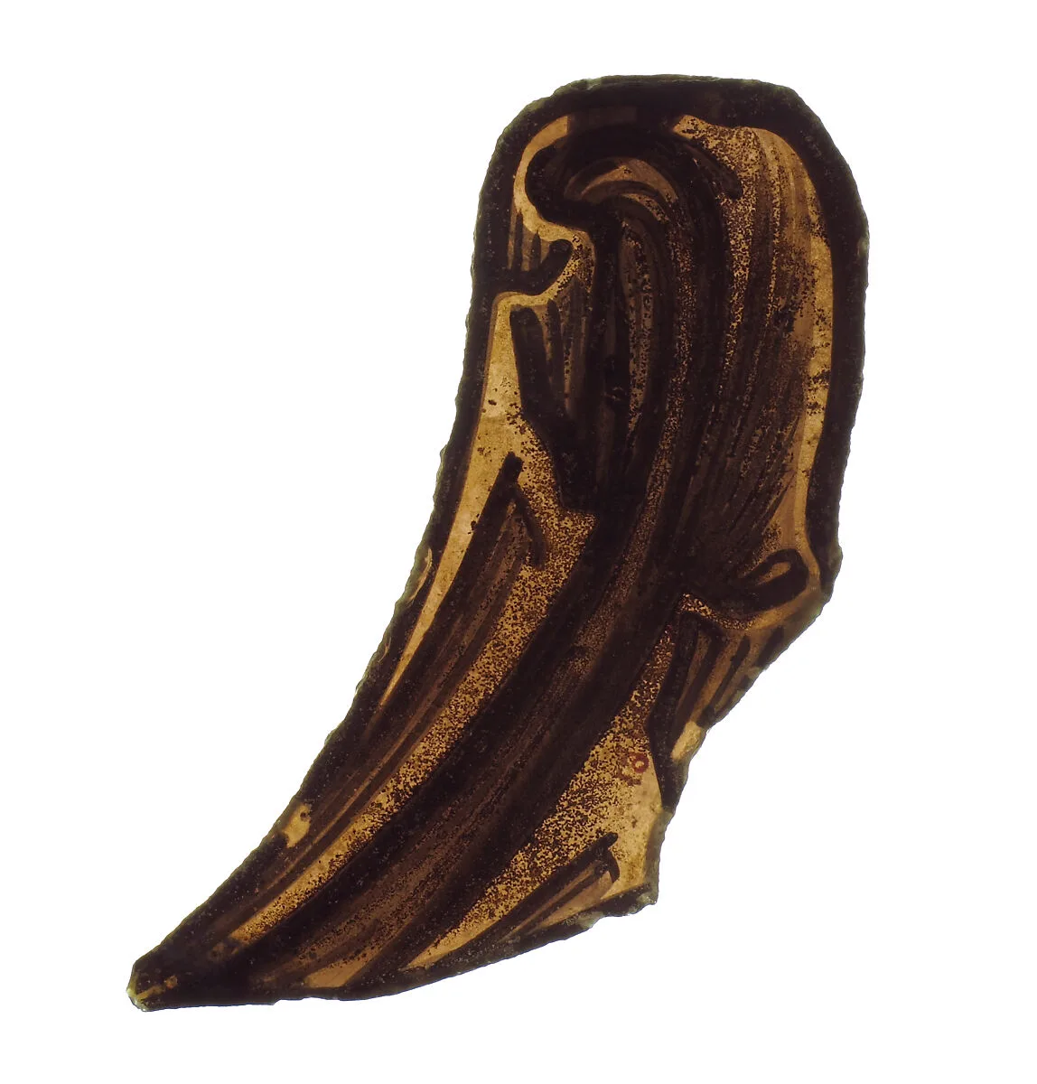 Glass Fragment — Unknown