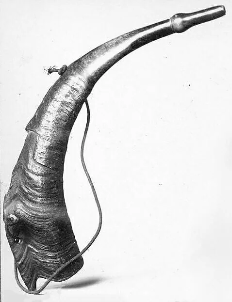 Reed Horn — Unknown