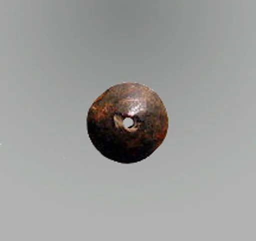 Disk