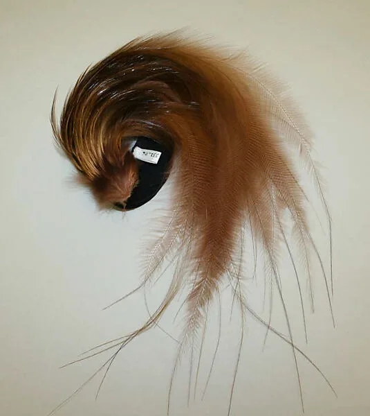 Aigrette — Unknown