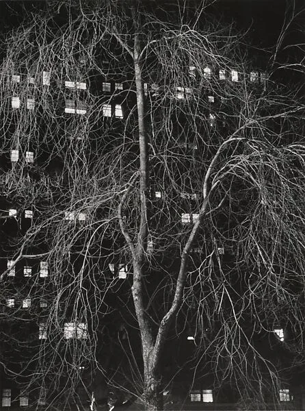 Washington Square, New York — André Kertész|Igor Bakht