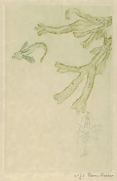Sea Algae (Algues marines) — Pierre Roche (pseudonym of Fernand Massignon)|André Marty