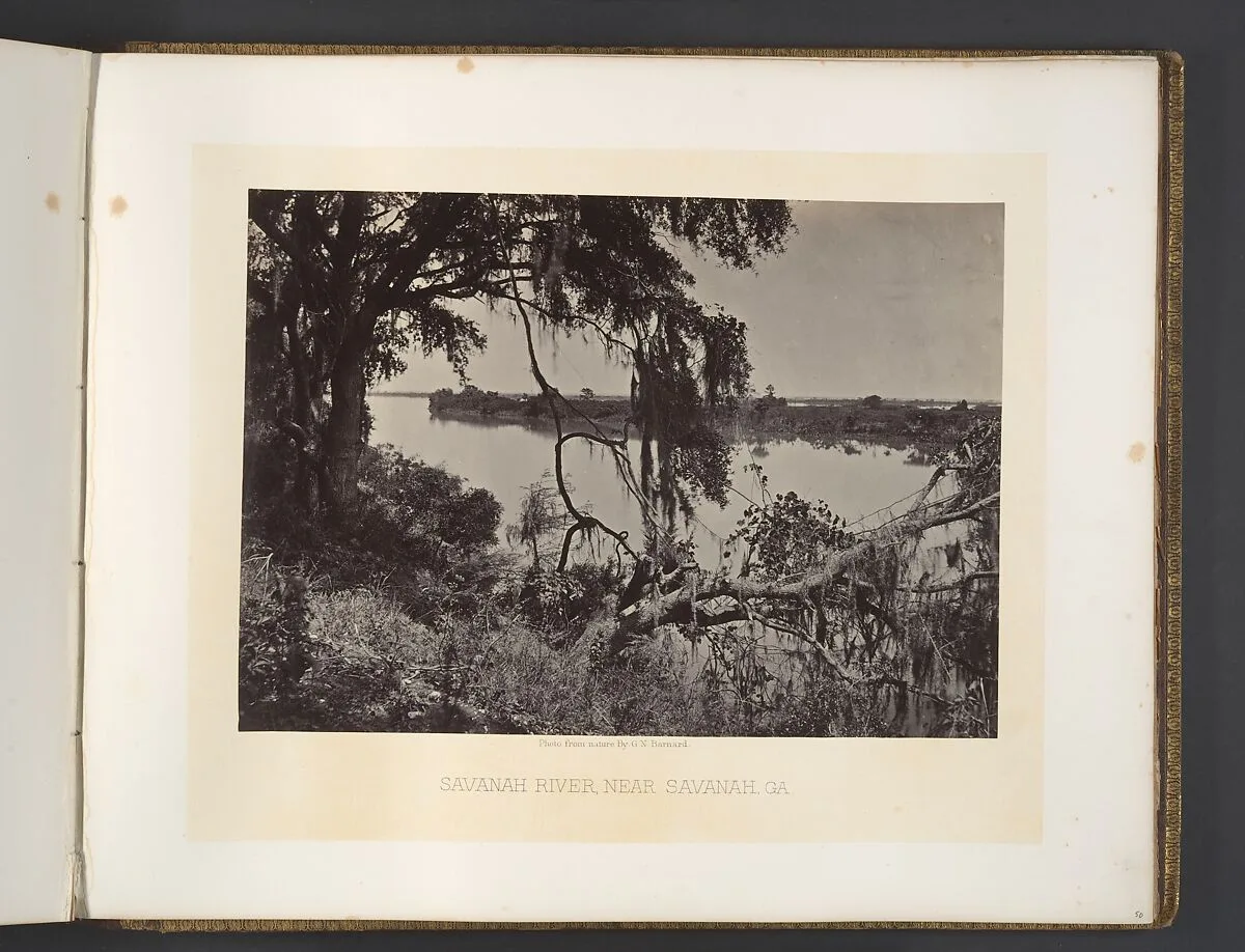 Savanah River, Near Savanah, Georgia — George N. Barnard