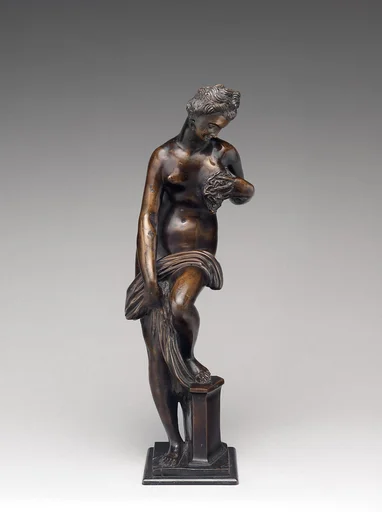 Bathing Venus