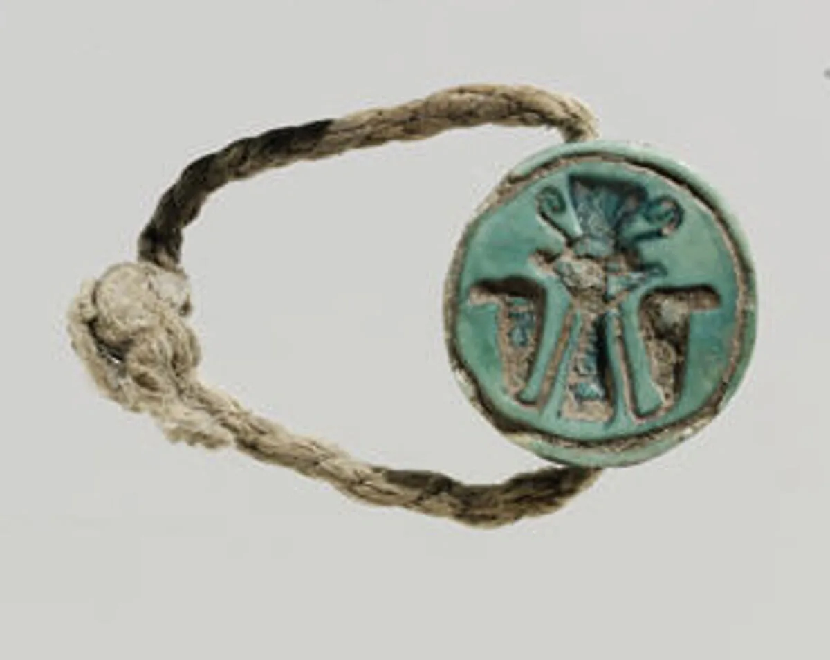 Cowroid ring — Unknown