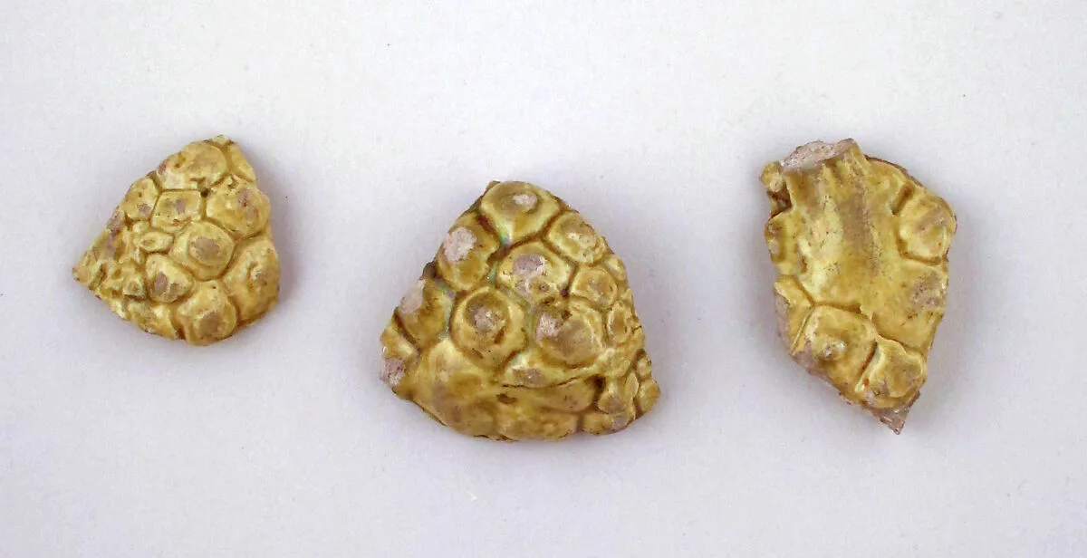 Vase fragments — Unknown