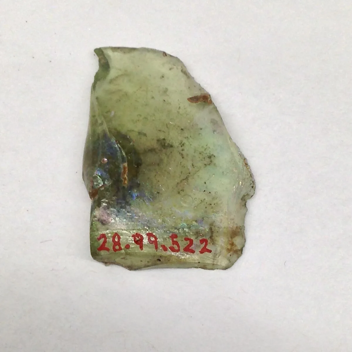 Fragment — Unknown