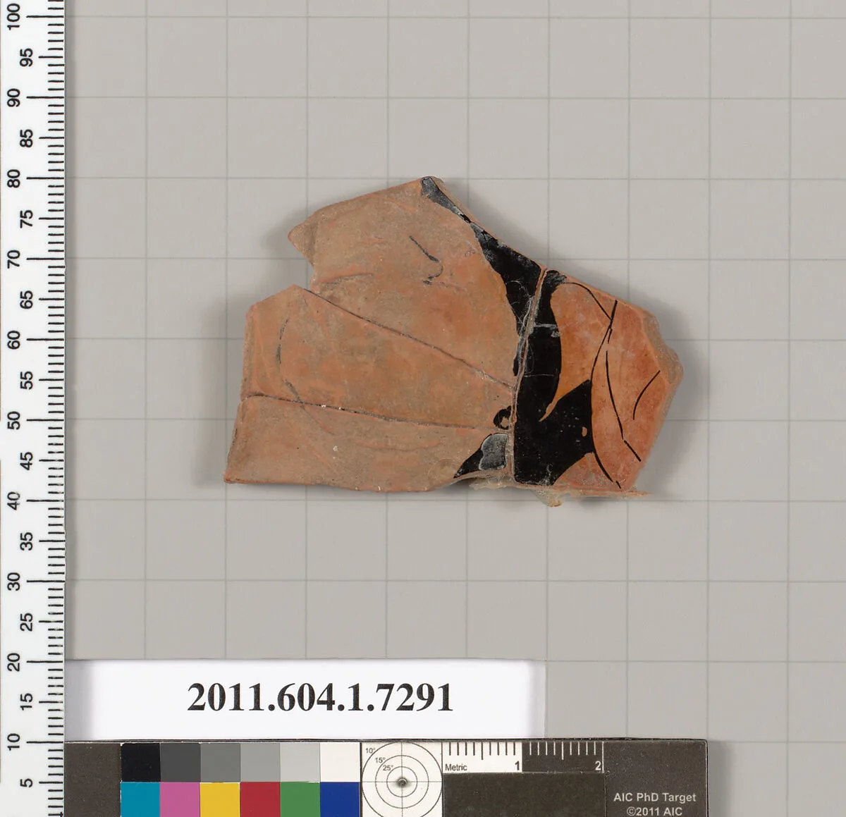 Terracotta fragment of a kylix (drinking cup) — Unknown