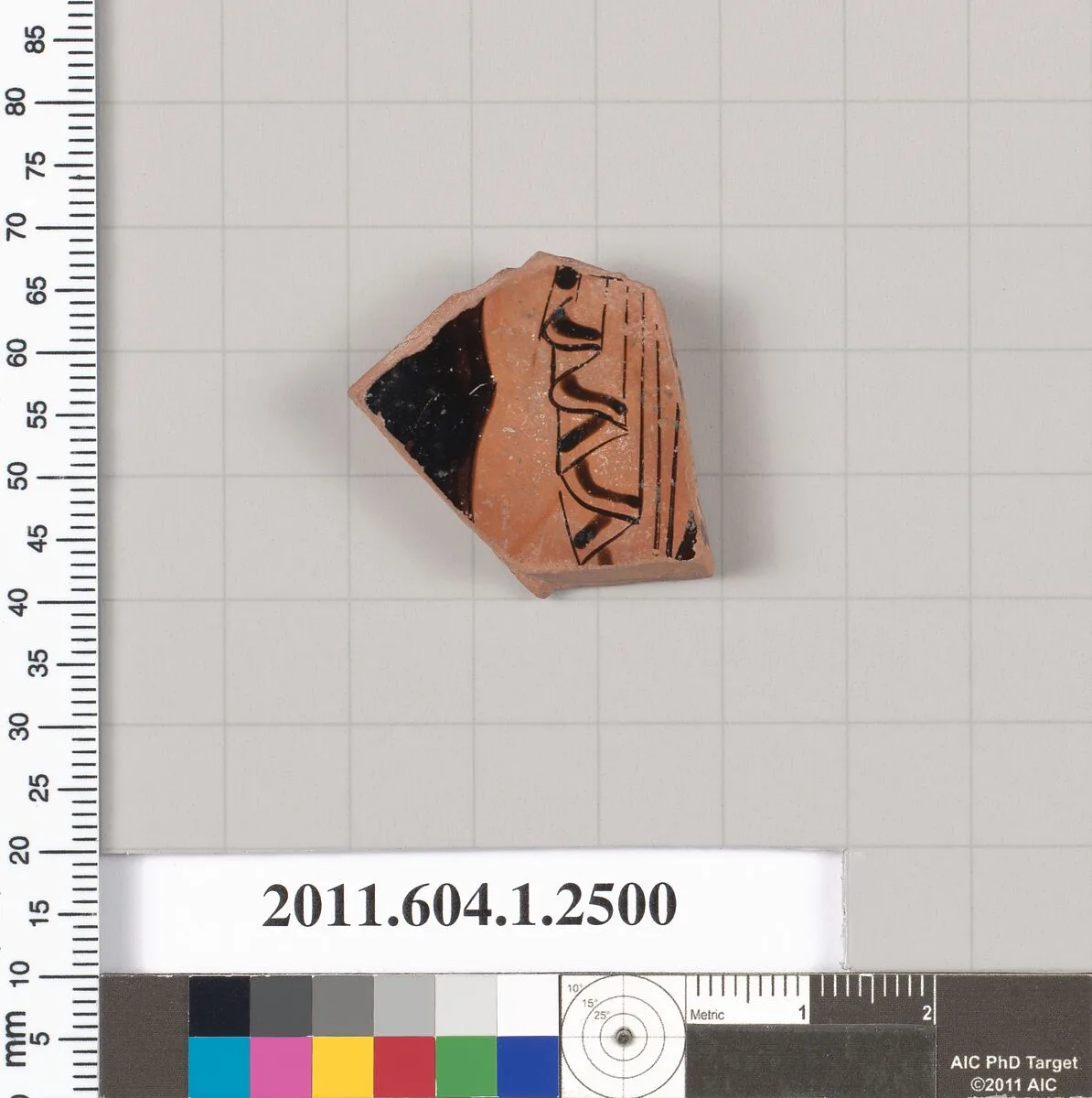Terracotta fragment of a kylix (drinking cup) — Unknown