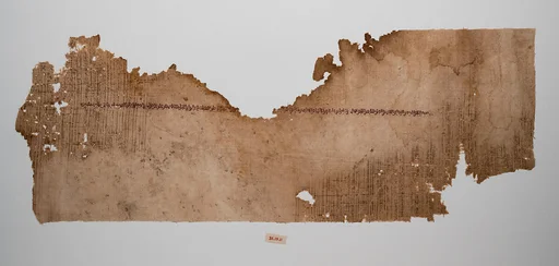 Textile Fragment