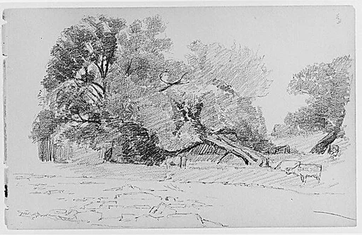 Landscape With Cows (from Sketchbook)
