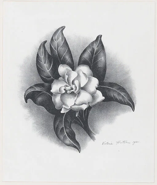 Gardenia — Victoria Hutson Huntley