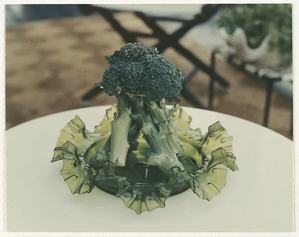Broccoli - Ogonquit, Maine — Peter Fink