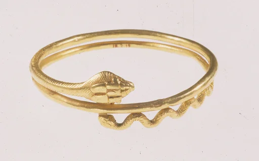 Snake bracelet
