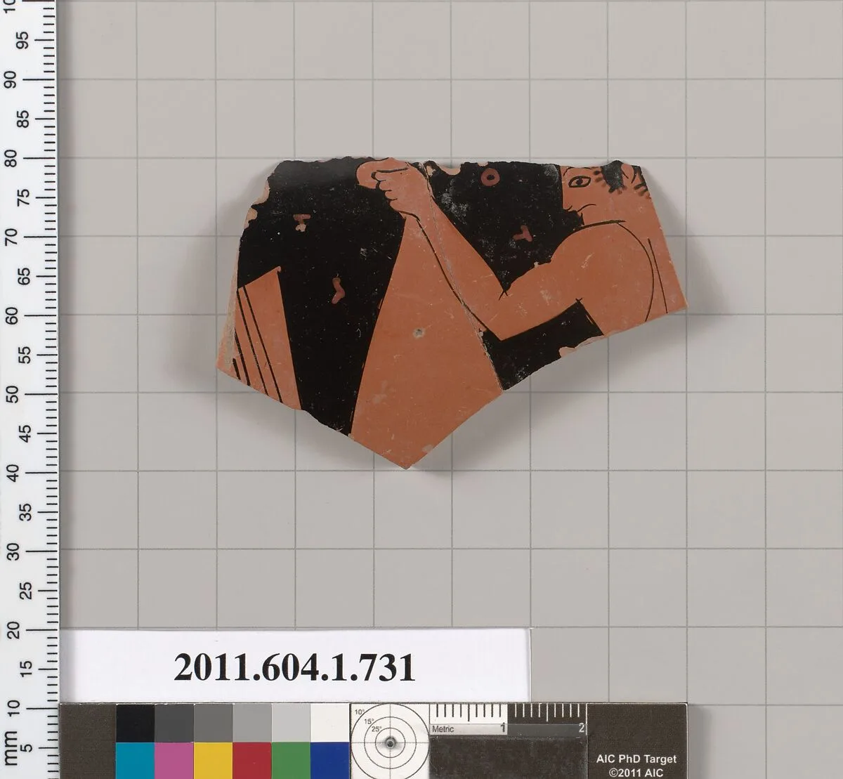 Terracotta fragment of a kylix (drinking cup) — Unknown